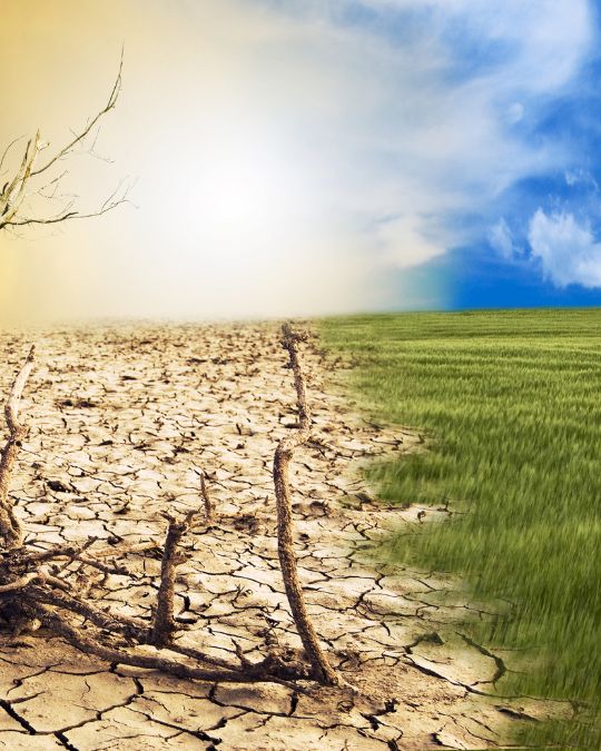 Risco climático na logística: como eventos extremos estão transformando a gestão 